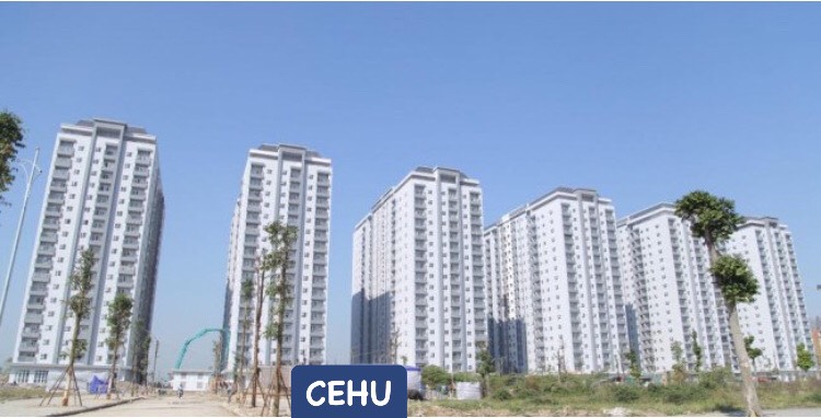 DỰ ÁN THÁNG 1 NĂM 2023 CỦA CÔNG TY CEHU 